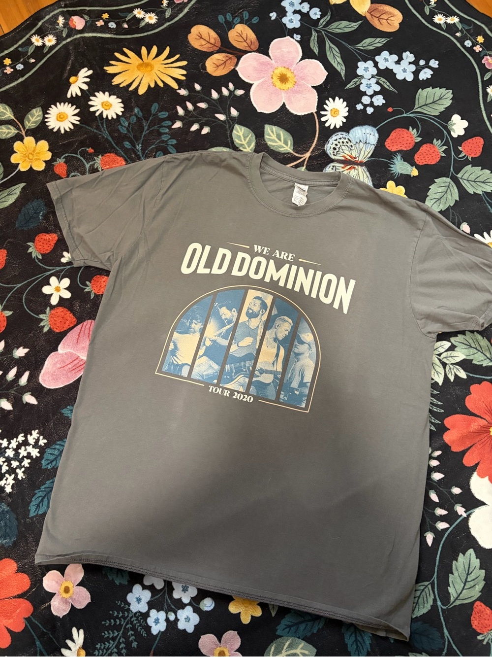 Gildan Gray Old Dominion Tour 2020 Graphic Tee with Blue & Cream Print
